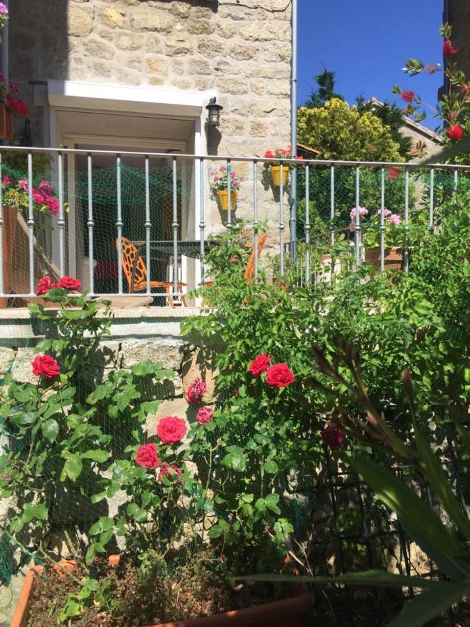 דירות Santa-Lucia-di-Tallano Maison De Vacances - Casa Mezanaccia Avec Terrasse Fleurie Meuble Tourisme 3 Etoiles מראה חיצוני תמונה