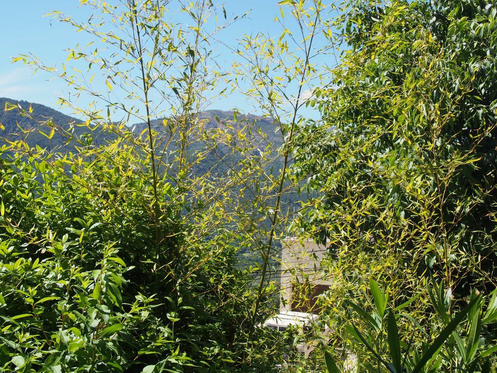 Santa-Lucia-di-Tallano Maison De Vacances - Casa Mezanaccia Avec Terrasse Fleurie Meuble Tourisme 3 Etoiles מראה חיצוני תמונה