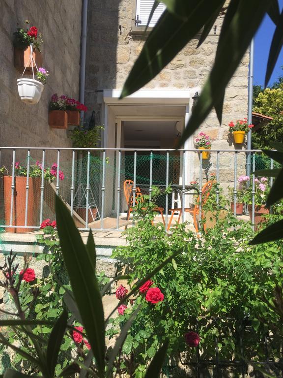 דירות Santa-Lucia-di-Tallano Maison De Vacances - Casa Mezanaccia Avec Terrasse Fleurie Meuble Tourisme 3 Etoiles מראה חיצוני תמונה