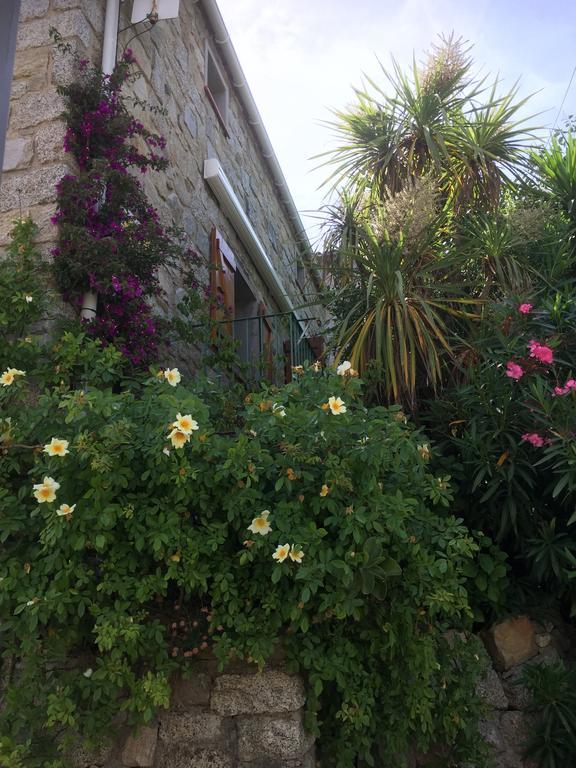Santa-Lucia-di-Tallano Maison De Vacances - Casa Mezanaccia Avec Terrasse Fleurie Meuble Tourisme 3 Etoiles חדר תמונה