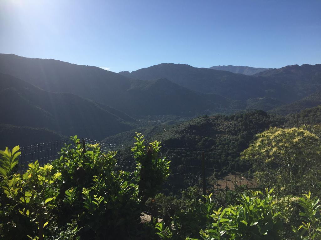 Santa-Lucia-di-Tallano Maison De Vacances - Casa Mezanaccia Avec Terrasse Fleurie Meuble Tourisme 3 Etoiles חדר תמונה